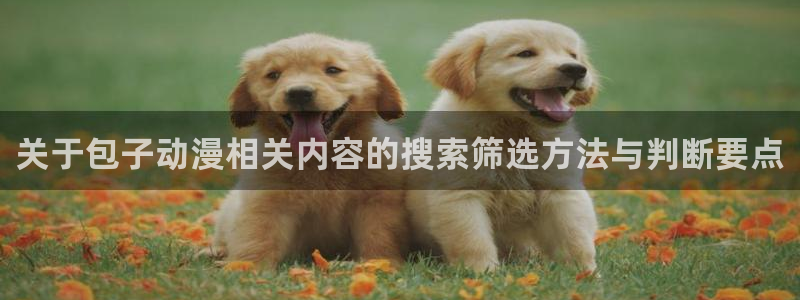 51动漫官网