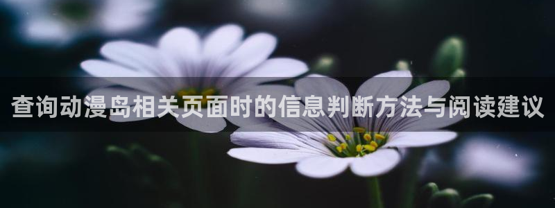 动漫之家其他动漫
