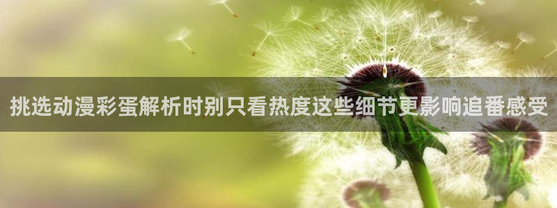 漫岛动漫网站