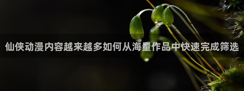 叭嗒动漫:仙侠动漫内容越来越多如何从海量作品中快速完成筛选